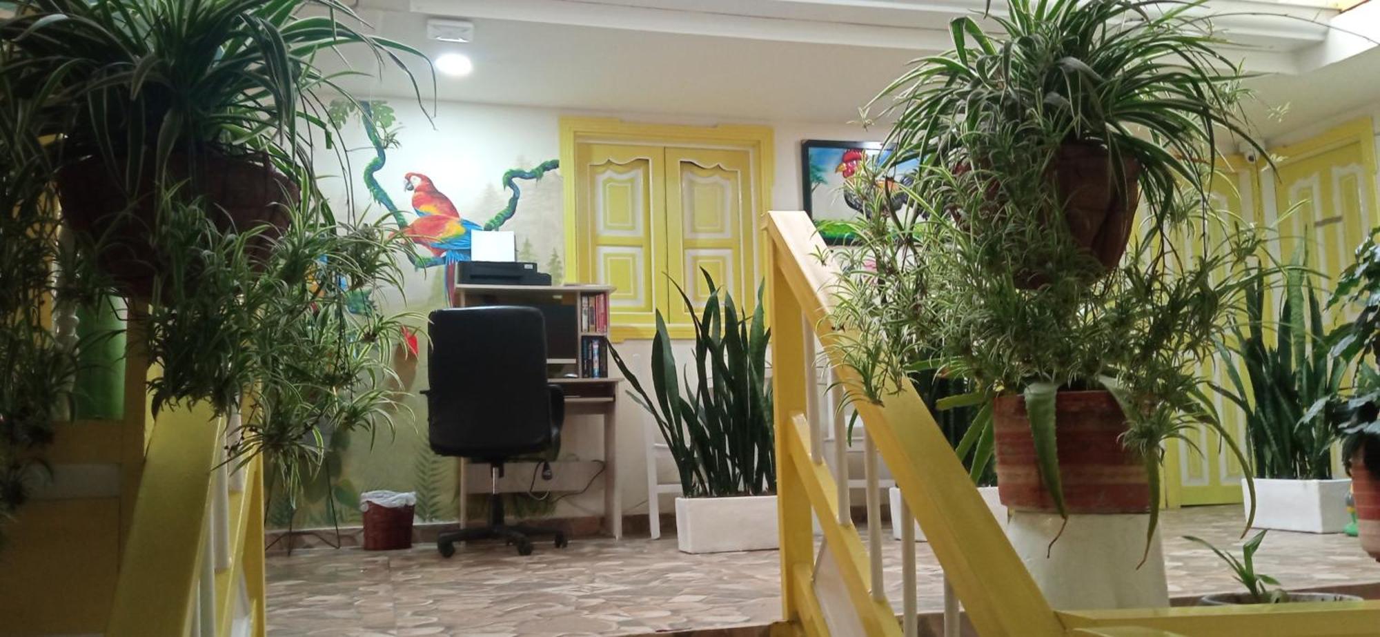 Casa Salento Hostel Ngoại thất bức ảnh